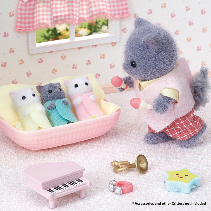 Persian Cat Triplets Baby Animal