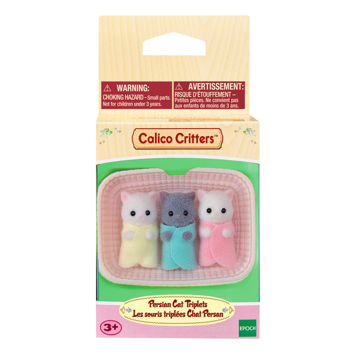 Persian Cat Triplets Baby Animal