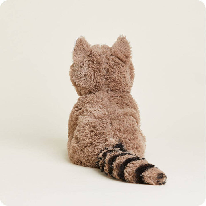 Raccoon