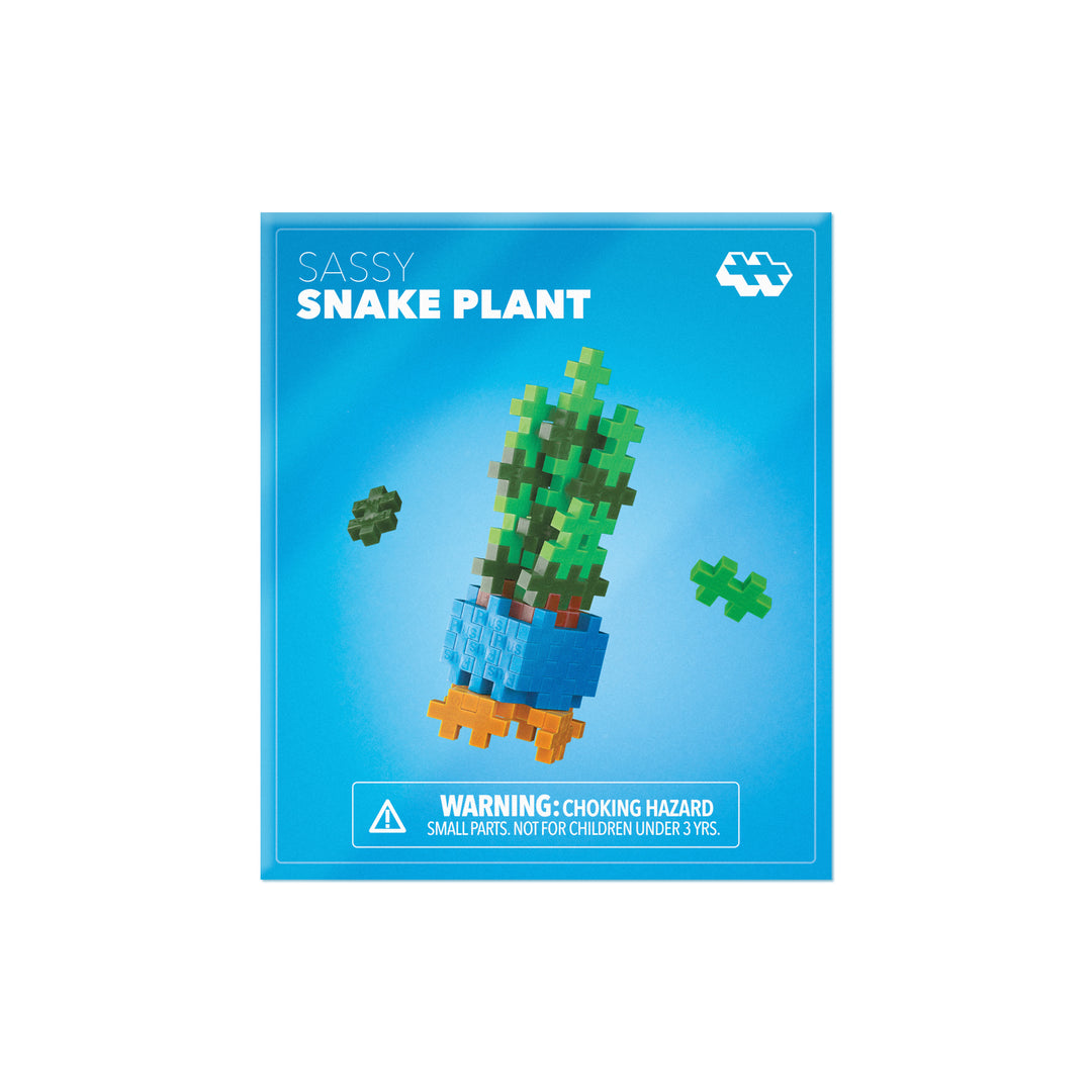 Sassy Snake Plant Plant Packet