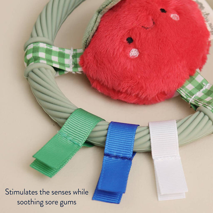 Teething Ring: Pink Kitty
