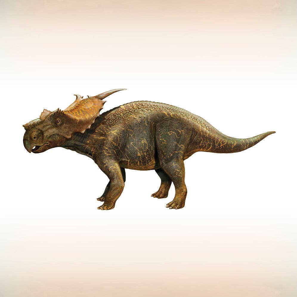 Sergey Krasovskiy: Dinosaurs Memory Game