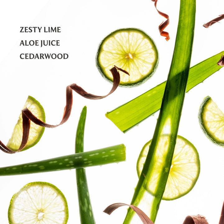 Aloe Power Mist Hydrating Hand Sanitizer