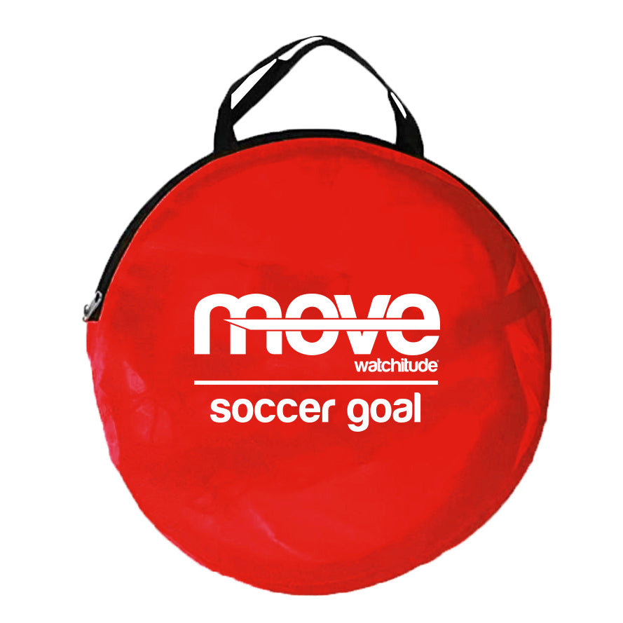 Kids Soccer Goal
