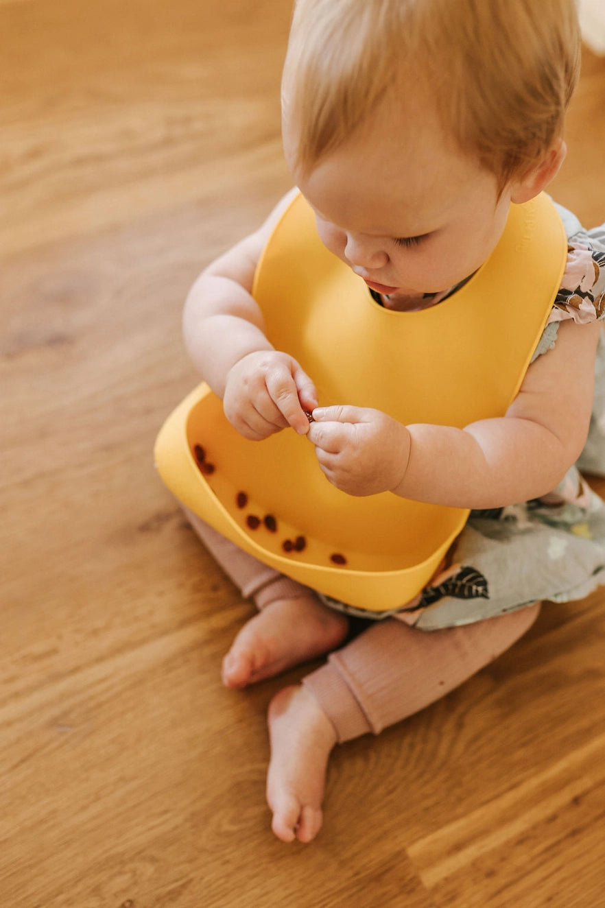 Silicone Pocket Bib Assorted