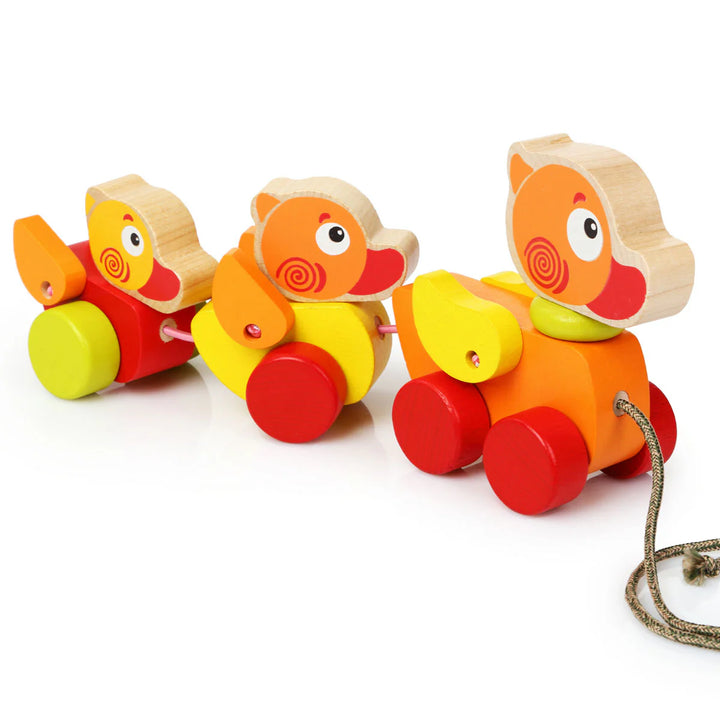 Walk Along Ducks