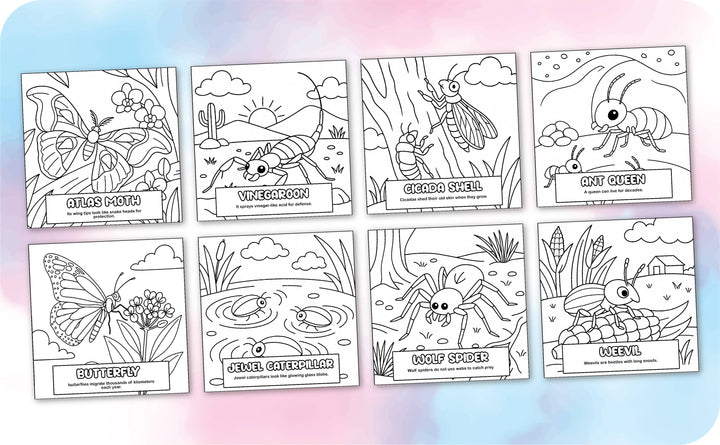Bug World Coloring Book
