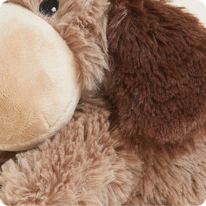 Brown Dog Junior