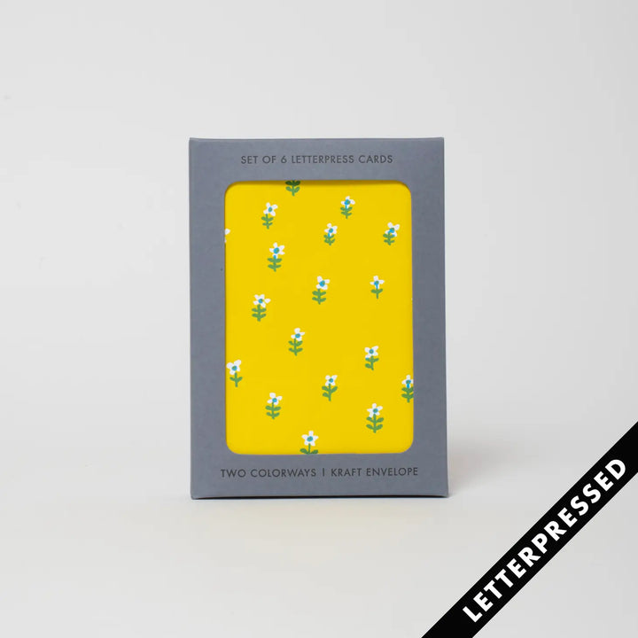 Daisy Mix Boxed Cards