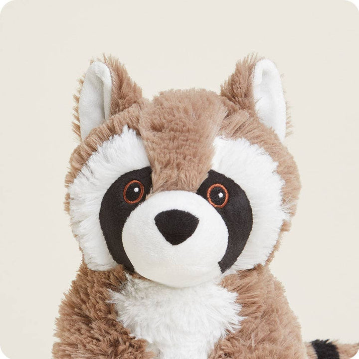 Raccoon