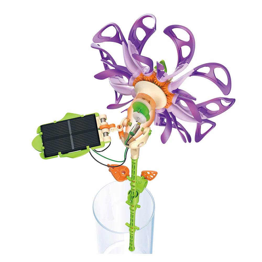 Purple Majestic SolarFlower