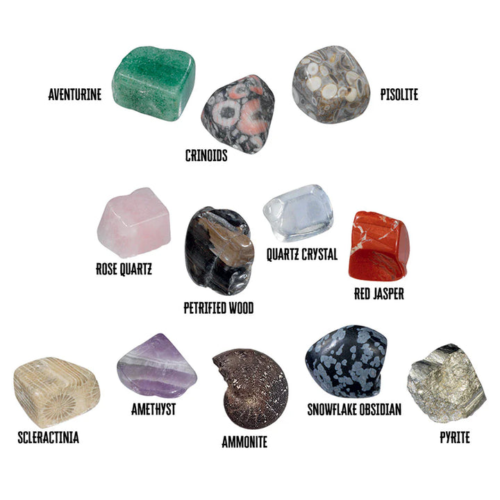 Dig Fossils & Rocks Egg