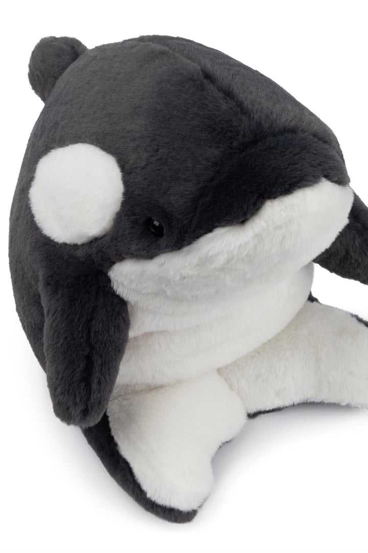 Snuffles and Friends: Flynn Orca, 10 in