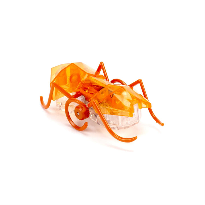Robotic Micro Ant