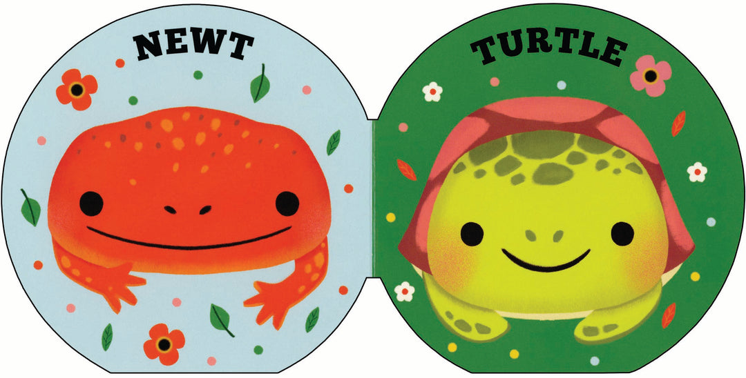 Frog & Friends Book