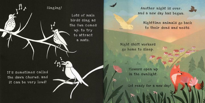 Shine-A-Light Book, Nighttime