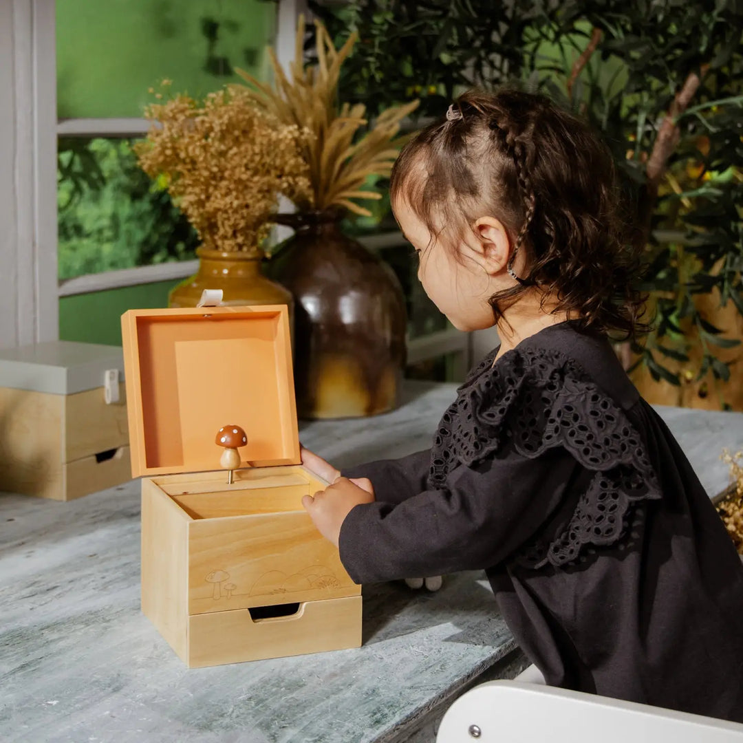 Mushroom Wooden Musical Souvenir Box