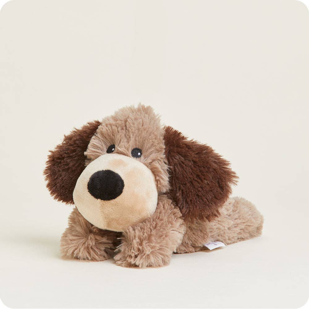 Brown Dog Junior