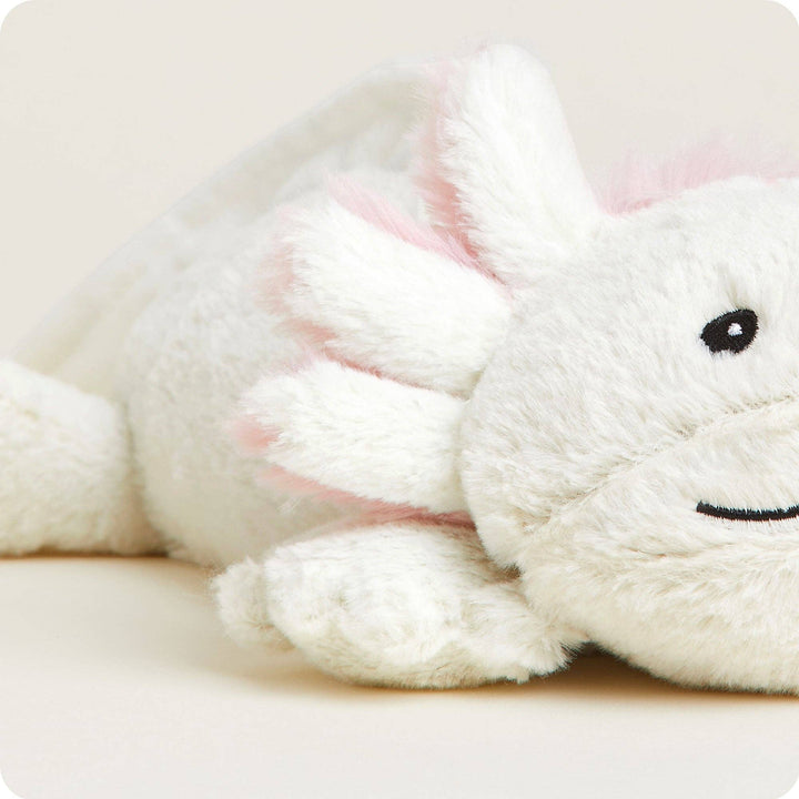 Axolotl