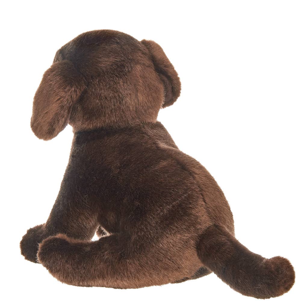Brody the Chocolate Lab