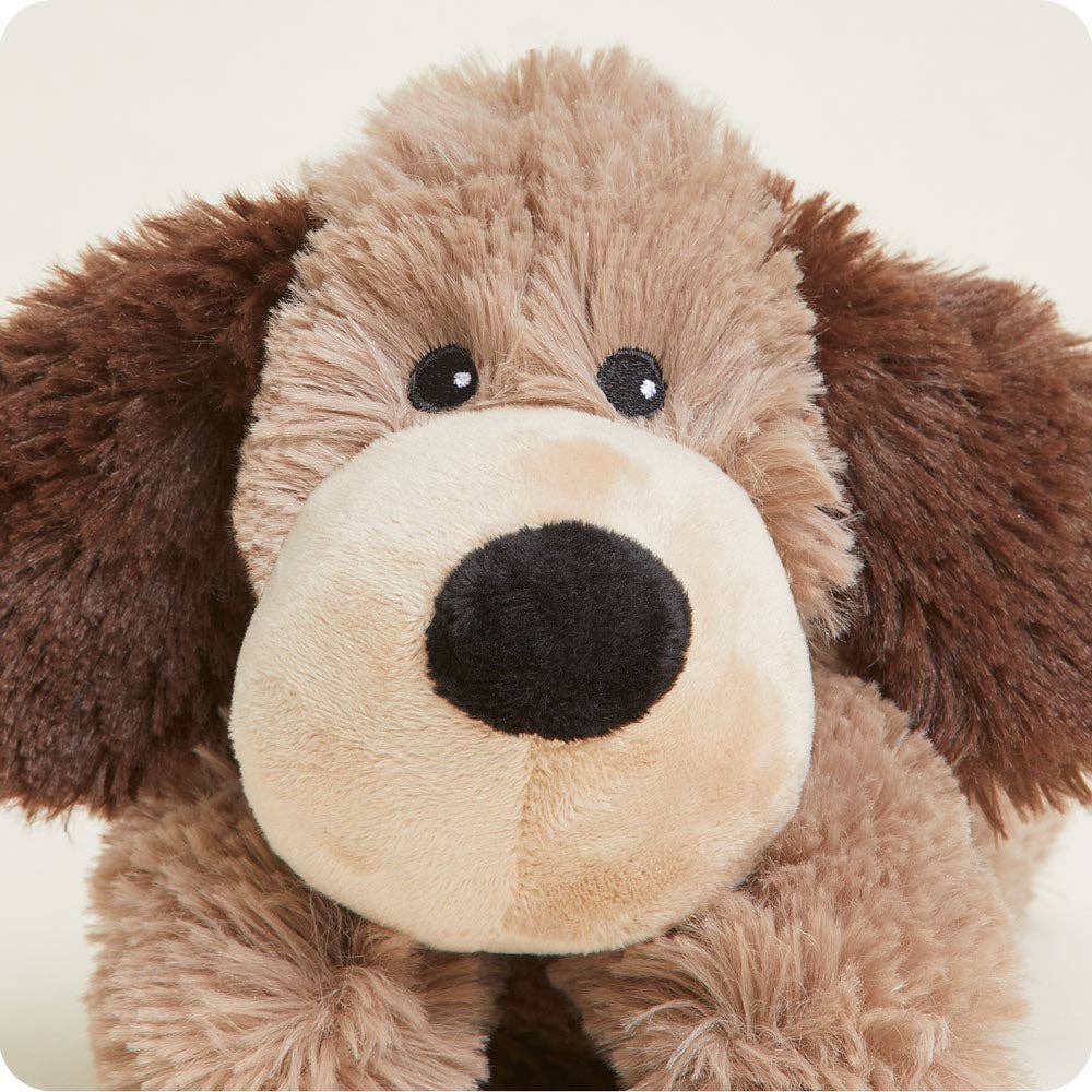 Brown Dog Junior