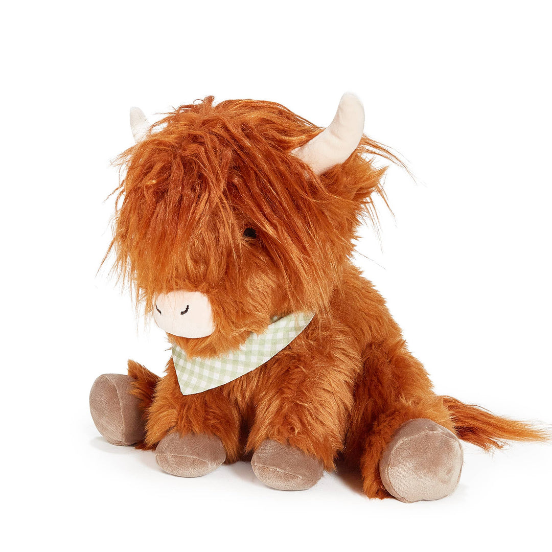 Hamish the Highland Cow