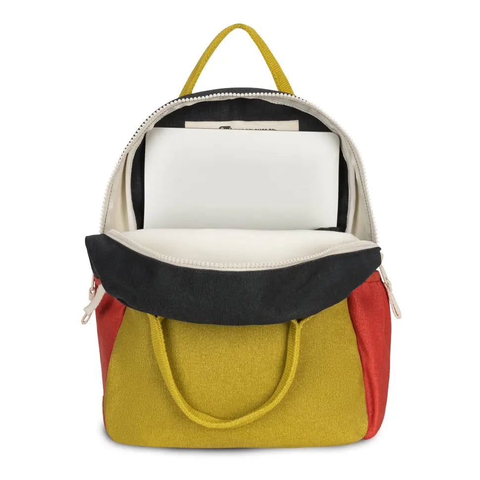 Carbon Cactus Jr Backpack