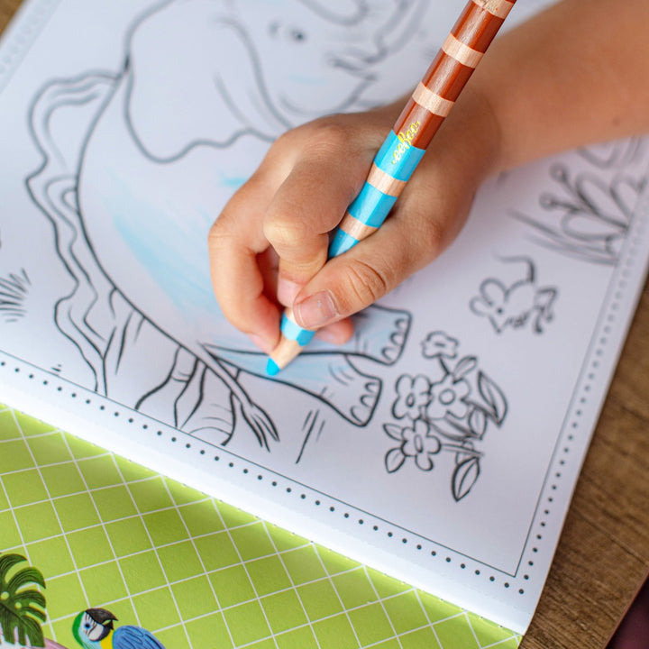 Wild Animals Coloring Book