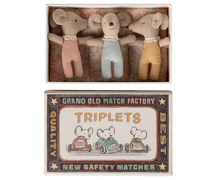 Triplets, Baby mice in matchbox Checker