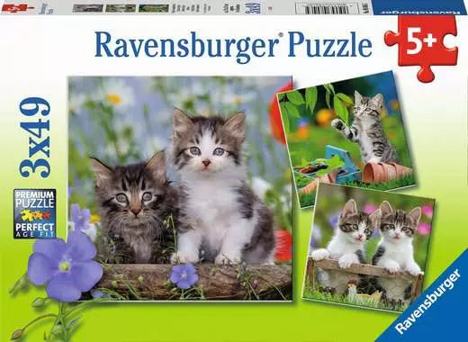 Cuddly Kittens 3 x 49 Puzzle