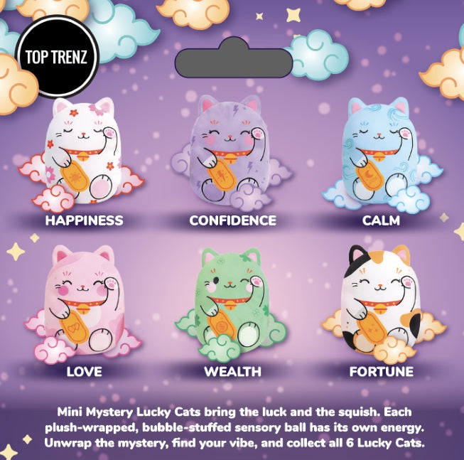 Bubble Stuffed Mini Mystery Cats