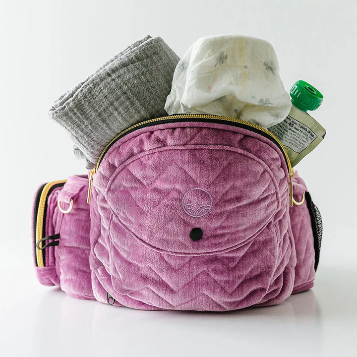 The Tushbaby Hip Carrier