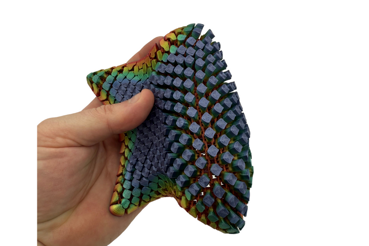 Floppy Starfish