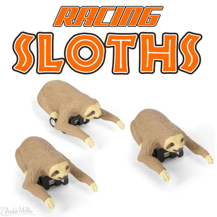 Racing Pull-Back Sloths