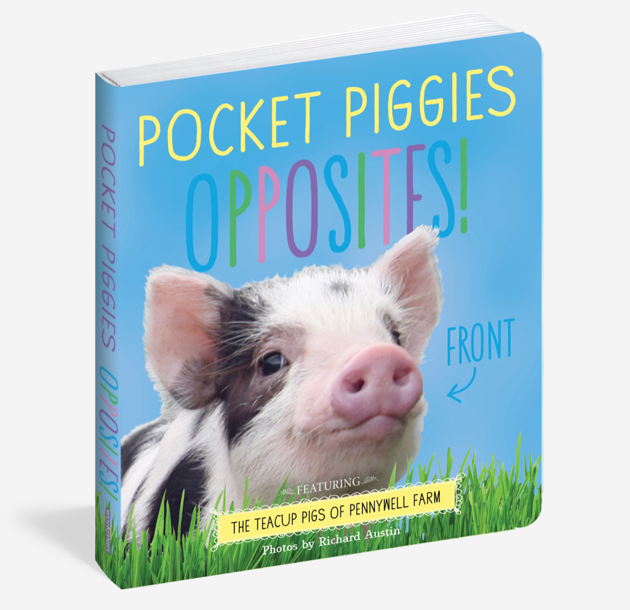 Pocket Piggies Board Book C