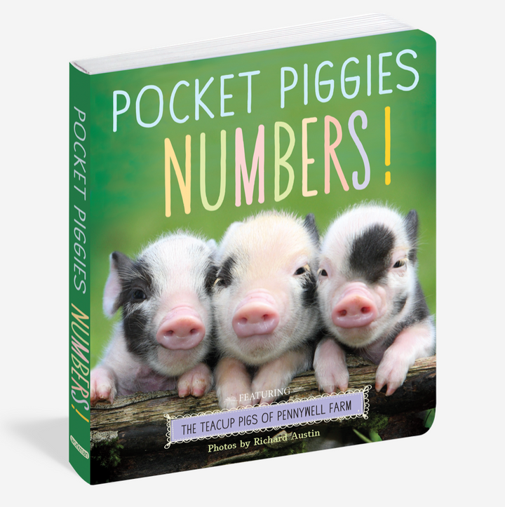 Pocket Piggies Board Book C
