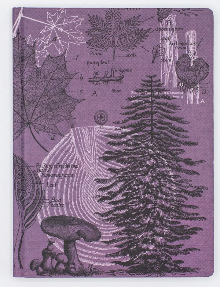 Forest at Dusk Hardcover w/ Dot Grid