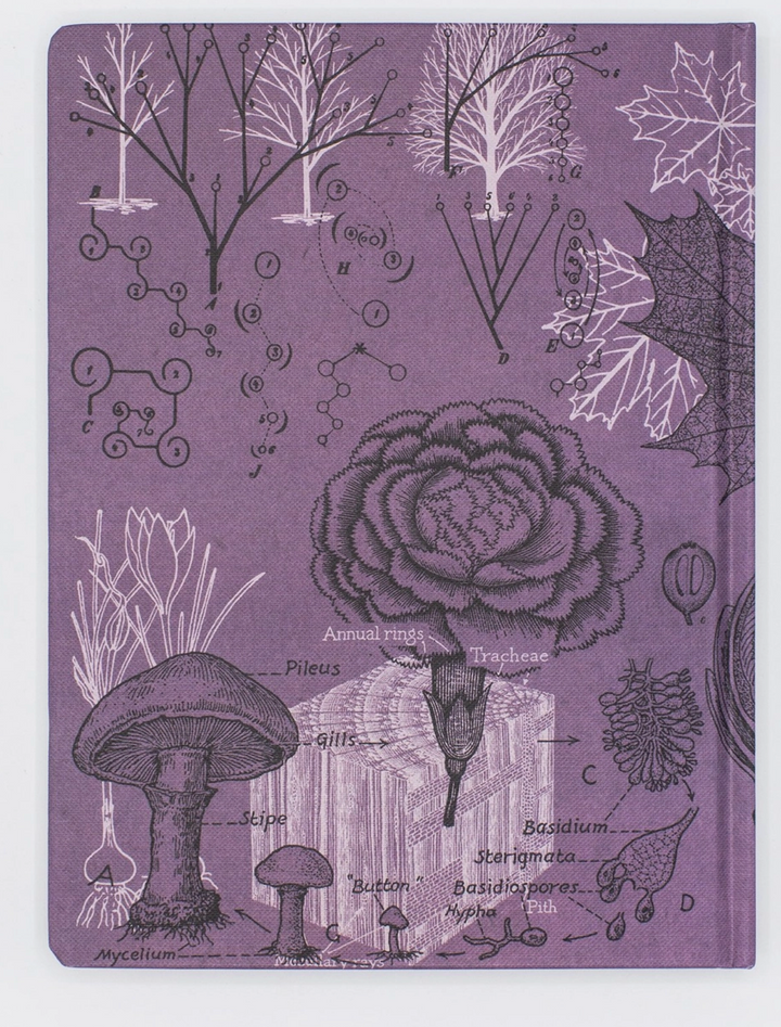 Forest at Dusk Hardcover w/ Dot Grid