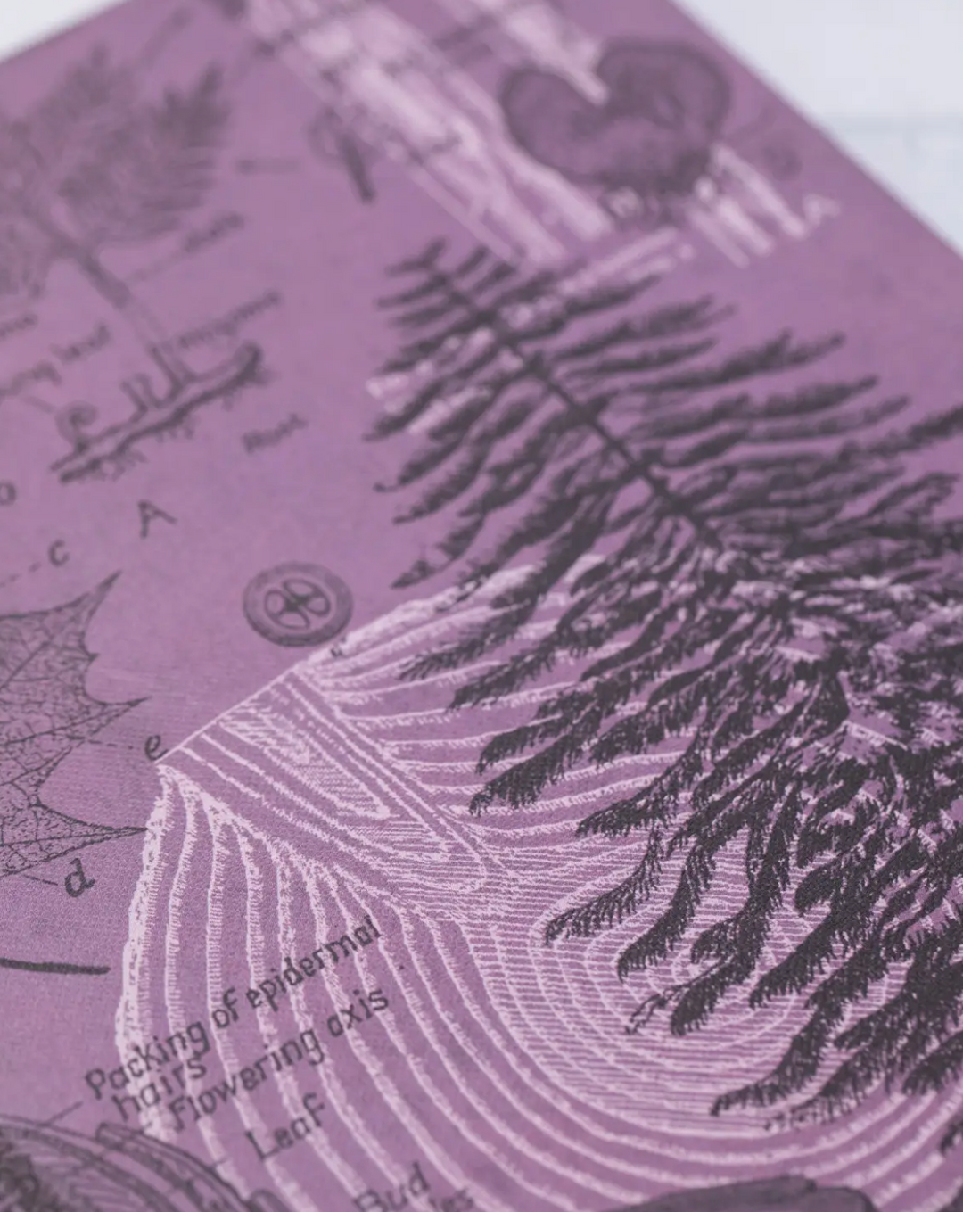 Forest at Dusk Hardcover w/ Dot Grid