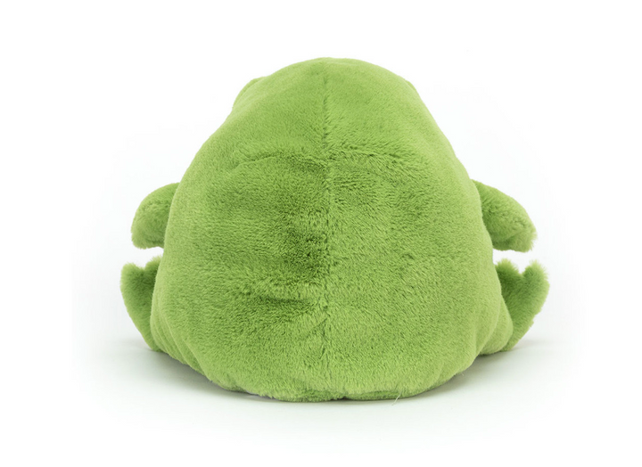 Ricky Rain Frog Medium