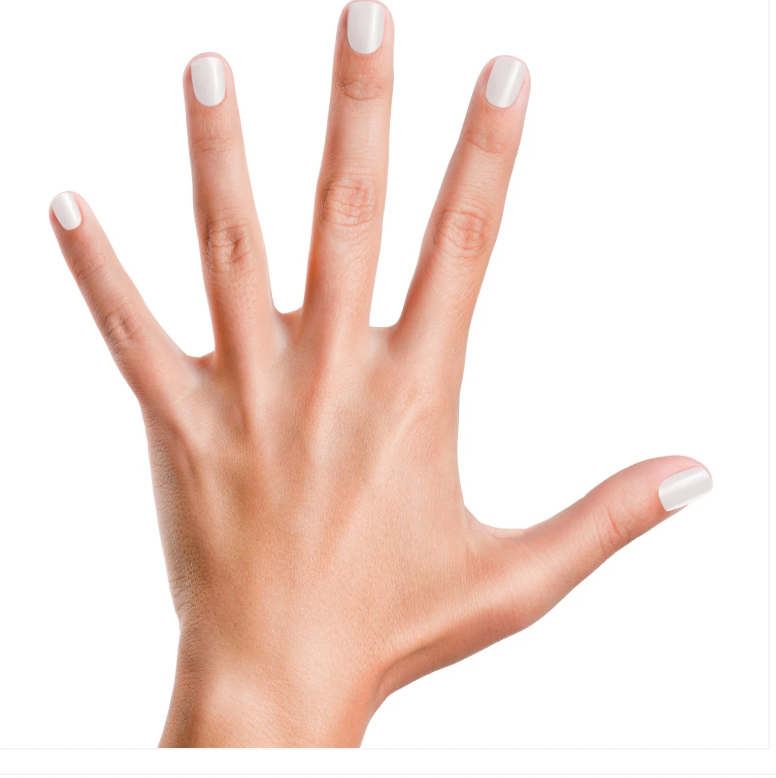 Snow Bunny's Perfect - Matte White