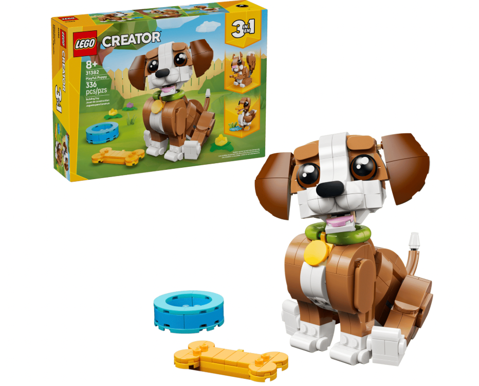 Cute Animals: Playful Puppy Dog