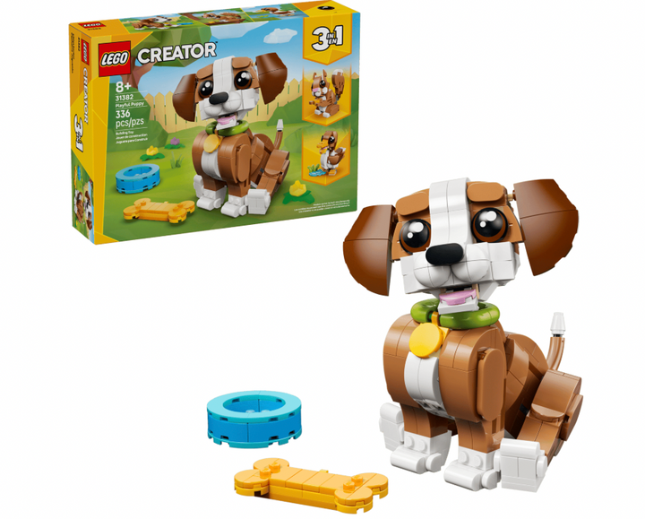 Cute Animals: Playful Puppy Dog