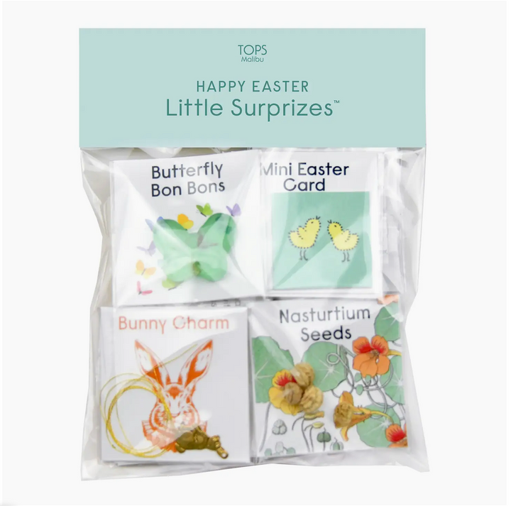 Little Surprises - pack of 10