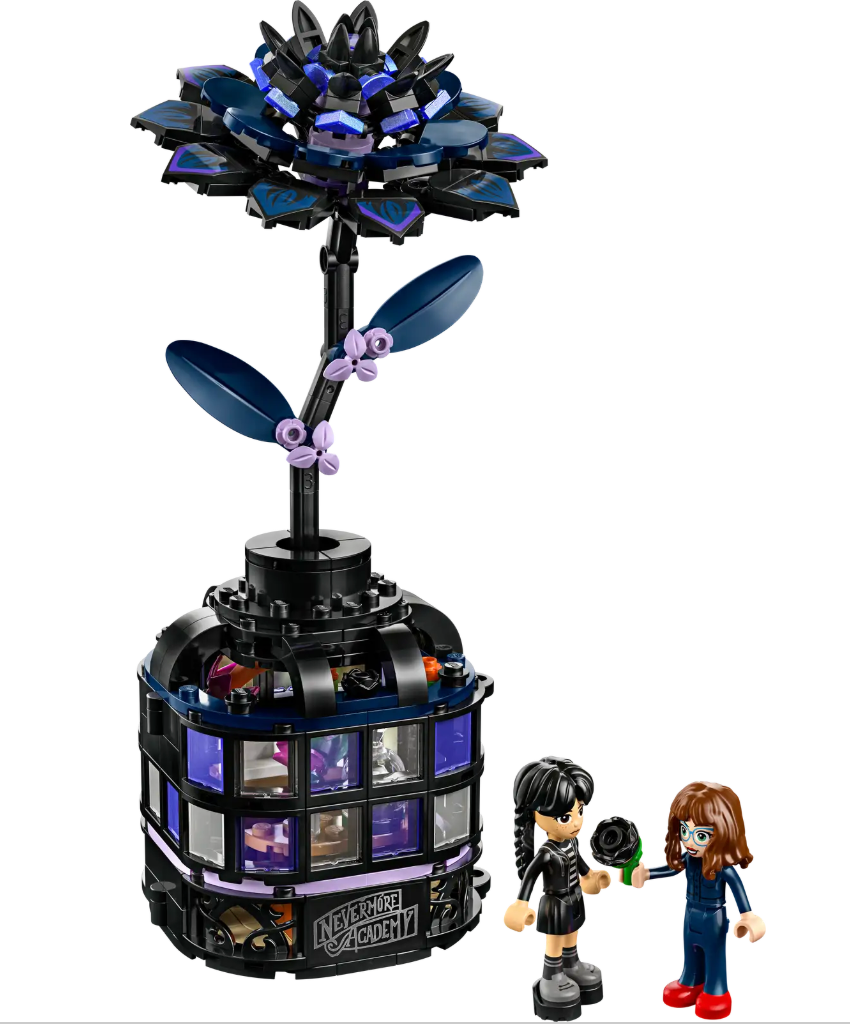 Wednesday Black Dahlia Flower