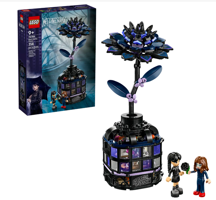 Wednesday Black Dahlia Flower