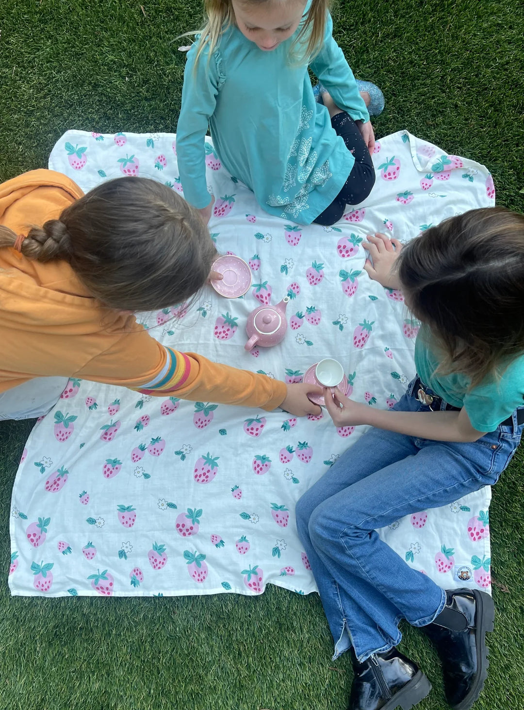 Strawberry Blanket