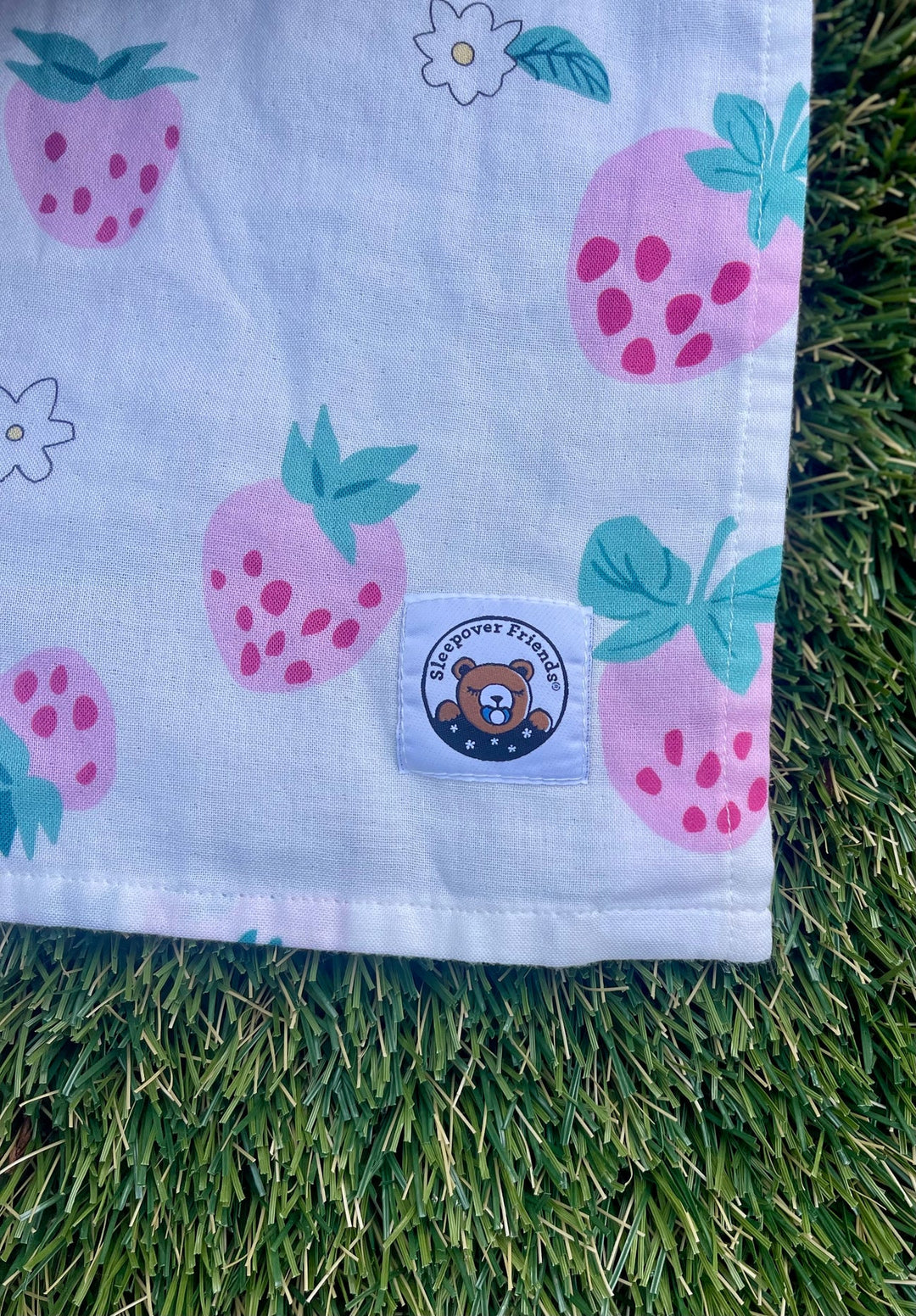 Strawberry Blanket