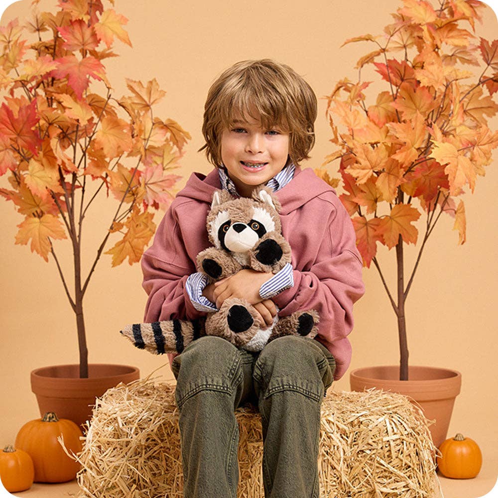 Raccoon