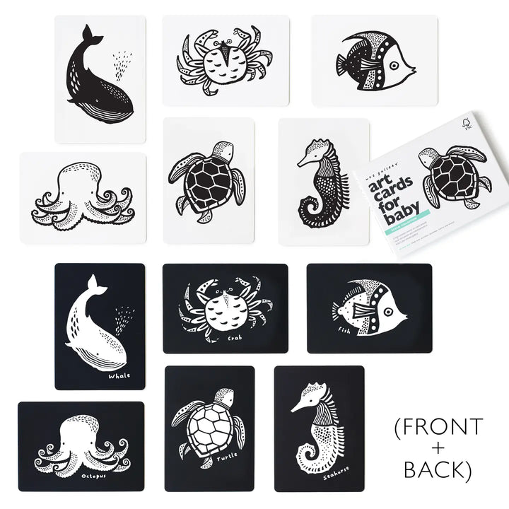Ocean Animal Baby Art Cards